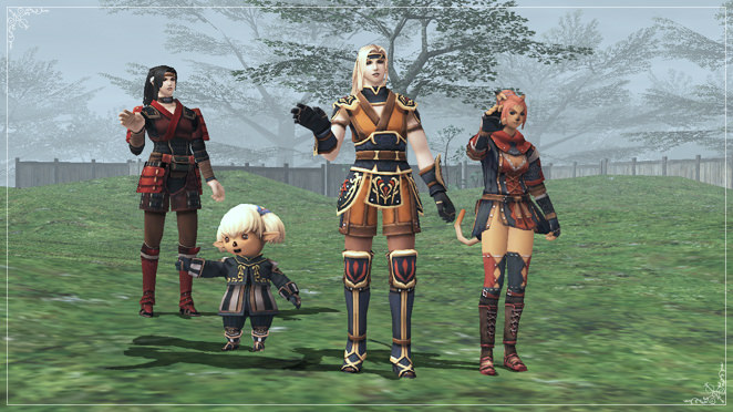 FINAL FANTASY XI Official Promotional Site